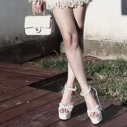 GinaDoll